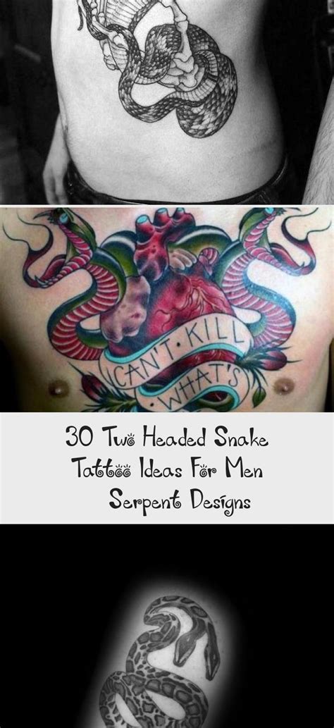 We did not find results for: 30 Two Headed Snake Tattoo Ideas For Men - Serpent Designs ...