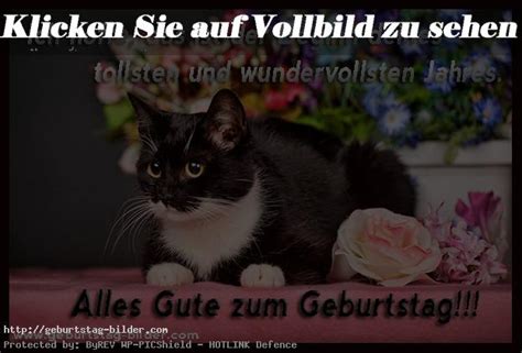 Junghansklaus geburtstag bilder lustig sprüche geburtstag. Geburtstag Bilder mit Blumen | | Geburtstagsbilder - Part 2