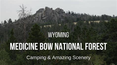 What were once three separate areas, medicine bow national forest, routt national forest. Medicine Bow National Forest in Wyoming - Camping with ...