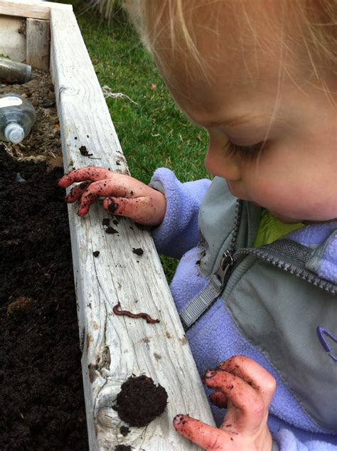 You want to minimize all traffic on your soil, especially in wet conditions. 1stgradefireworks Get YOUR Hands DIRTY in the GARDEN ...