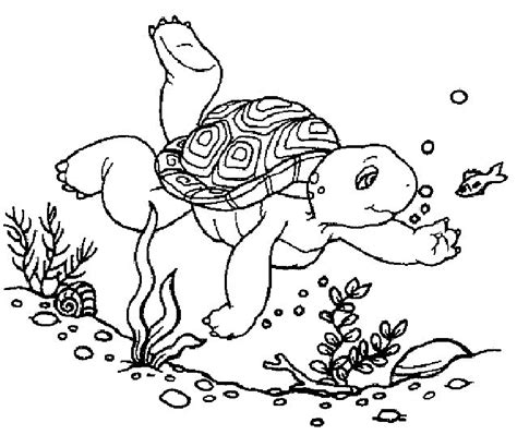 These coloring pages always have been very attractive and nice for boys and girls as preparation and entertainment for christmas. Baby Turtle Coloring Pages - Coloring Home