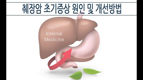 '췌장암'을 의심할 수 있는 초기 증상! 췌장암 초기증상 원인 및 개선방법  하늘건강법  - YouTube