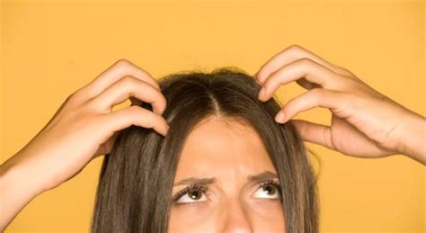 Come eliminare i pidocchi con la piastra