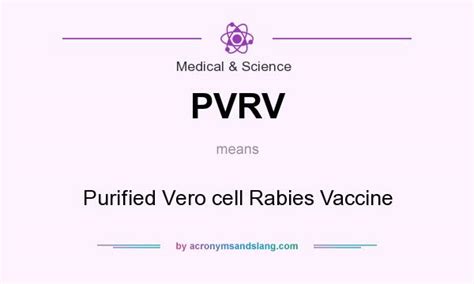 Vero cells is a descriptor in the national library of medicine's controlled vocabulary thesaurus, mesh (medical subject below are mesh descriptors whose meaning is more general than vero cells. PVRV - Purified Vero cell Rabies Vaccine in Medical ...