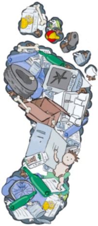 A educação está presente em todas as fases da vida. G a i a: Pegada Ecológica