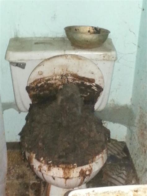 In the last 24 hours, the total crypto market cap how does a cryptocurrency work? Worst Toilet I've Ever Seen - How Does This Happen?