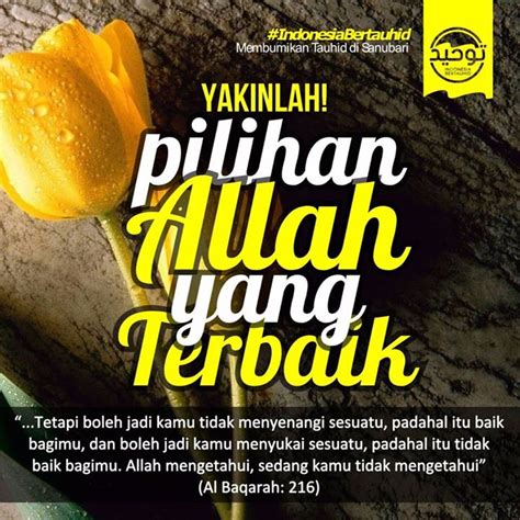 Apa yang allah berikan untuk kita pasti yang terbaik, meskipun yang terbaik itu bukan yang terindah. Pilihan Allah yang Terbaik ~ Hijrah is all about Process