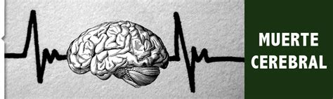 Concepto, definición y diagnóstico clínico. muerte cerebral