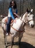 Obtaining all the wow trading card game items the littlest mountain: Horseback riding, Luray- Appalachian Adventures