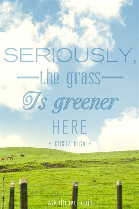 This is a beta experience. iPhone wallpaper "Seriously, the grass is greener here." (met afbeeldingen)