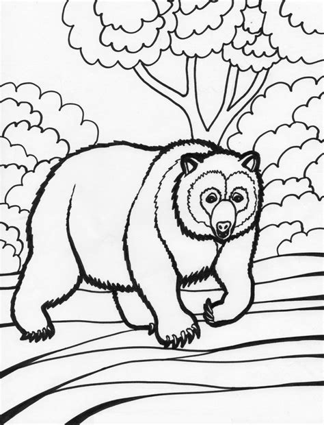 Search through 623,989 free printable colorings. Pin by Coloring Fun on Animals | Bear coloring pages ...