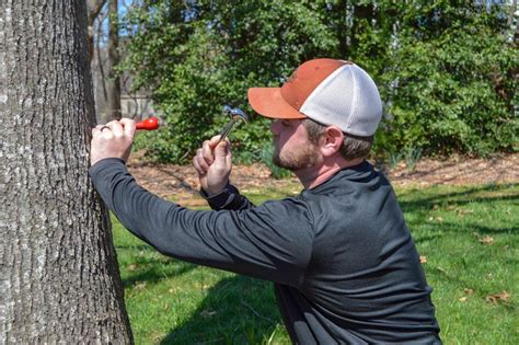 Know if a tree is a hazard. The Tree Doctor Is In - Facilities & Campus Services