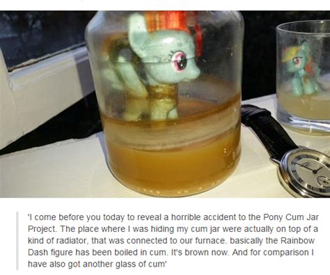 Originally some 4chan lad put a pony (from my little pony) in a jar, came on it over and over to fill the jar. Anorak News | My Little Pony sex experiment ends in carnage