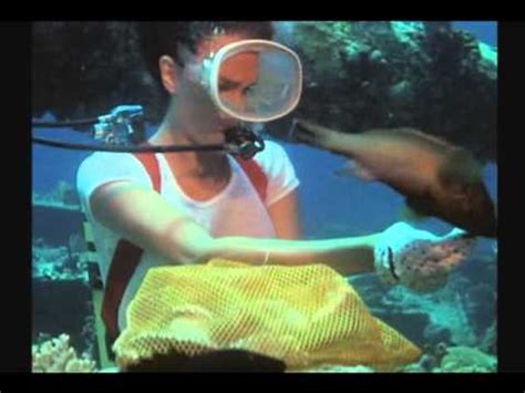 Jacqueline bisset commanded attention from her earliest films, including 'casino royale' and 'bullitt,' but seeing jacqueline bisset in 'the deep' was a formative experience for many male movie fans. The Deep Intro Jacqueline Bisset Nick Nolte (1977) - YouTube