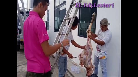 Terima bahagian daging korban lembu dan kambing ustaz idris sulaiman. Proses//cara pengambilan daging lembu - YouTube