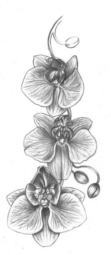 A beautiful duality contained in a single symbol, expressing the potential for gentle loveliness and crazy adventure. Orchid 2 | Orchid flower tattoos, Orchid tattoo, Orchid drawing
