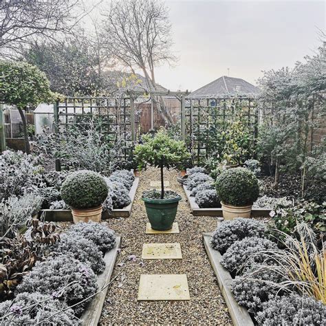 Plant it with climbing roses, carolina jasmine, clematis or other vining plants. Make your garden look good in winter - Sweet Life and ...