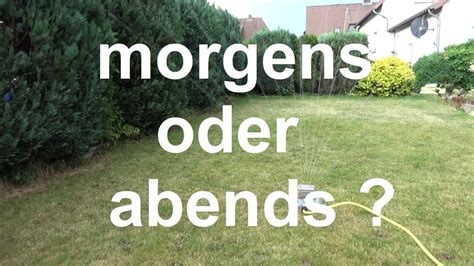 Düngerkörner, die auf den gräsern eventuell haften, werden hierdurch in die grasnarbe eingewaschen. Rasen morgens oder abends gießen bewässern Rasen wann ...