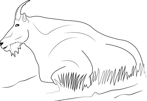 Check spelling or type a new query. Mountain Goat Relaxing Coloring Page - Free Printable ...