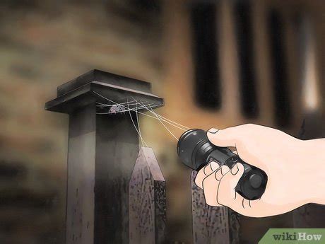 When you see a black widow on the loose, try to spray it with a pesticide. 3 Ways to Kill Black Widow Spiders - wikiHow