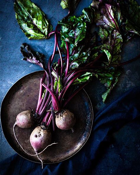 We did not find results for: What fastest growing vegetables should I plant in my ...