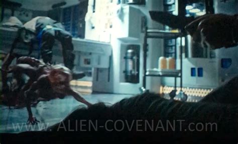 Neomorph with baby neomorph classic collection 5.5″ scale figure. EXCLUSIVE: Alien: Covenant Neomorph bursting scene images ...
