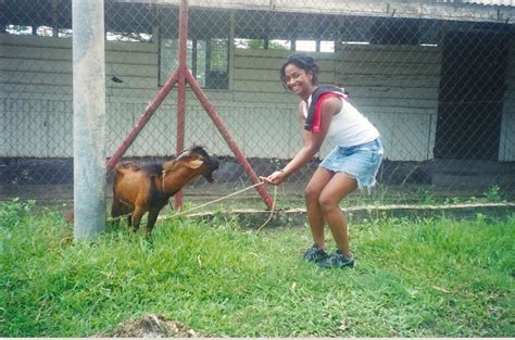 Woman cited after dogs escape and kill goat. foto: "I LIKE CURRY GOAT BUT I CAN'T KILL CURRY GOAT ...