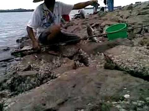 Pantai pesona pulau rupat memiliki bibir pantai dengan pasir putih yang terbentang landai. Mancing ikan kat pantai aceh. - YouTube