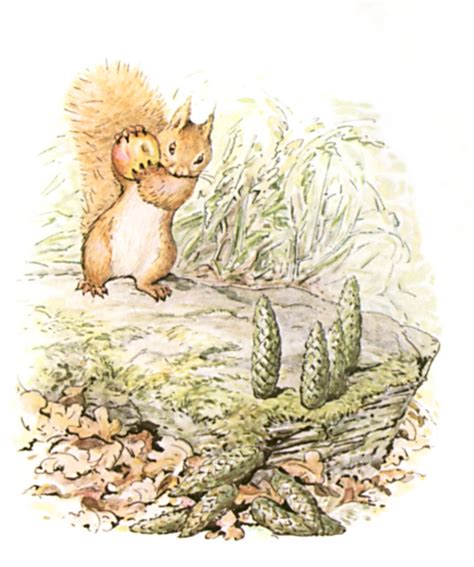 The tale of squirrel nutkin. The Project Gutenberg eBook of The Tale Of Squirrel Nutkin ...