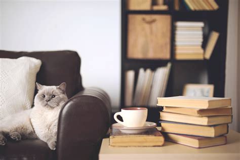 By frida ramstedt and we have selected the best home decor books, including everything from vintage to contemporary. Stack Of Books In Home Interior Stock Photo - Download ...