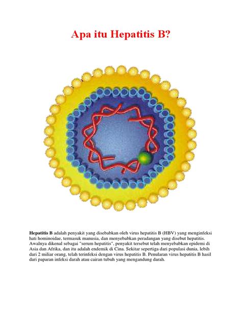 Penyakit hepatitis adalah suatu peradangan yang terjadi pada hati. Apa Itu Hepatitis B