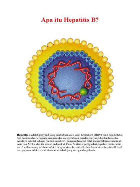 Penyakit senyap kerana pesakit yang dijangkiti hepatitis c ini. Apa Itu Hepatitis B