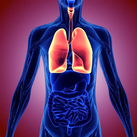 Cancer is called recurrent when it come backs after treatment. Chemo Prolongs Life in Mesothelioma Patients Who Relapsed ...