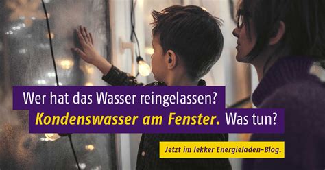 Sollte sich trotz regelmäßigen lüftens feuchtigkeit an den fenstern ansetzen, so sollten sie ihren. Kondenswasser am Fenster: So löst du das Problem mit der ...