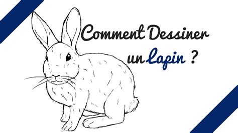 Lapin de pâques dessin : Comment dessiner un lapin | Comment dessiner un lapin ...