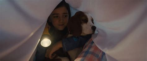 Bailey, a kutya jó életet él ethan (dennis quaid), hannah (marg helgenberger) és tizenéves lányuk, cj (kathryn prescott) farmján. Egy kutya négy útja (2019) teljes film streaming Online - mozicsillagmagyar234