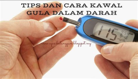 Gula darah atau yang dikenal juga dengan istilah glukosa merupakan hasil hampir setiap manusia mengalami perubahan kadar gula darah. Sihat Itu Nikmat - HEALTH | BISNES | FAMILY: TIPS DAN CARA ...