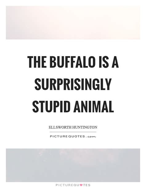 Best ★buffalo quotes★ at quotes.as. Buffalo Quotes | Buffalo Sayings | Buffalo Picture Quotes