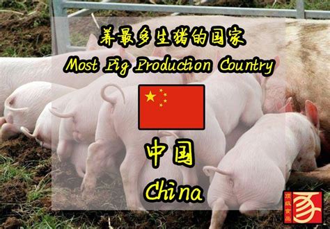 Please complete the form to contact tip top meat. 猪肉加工产品批发雪兰莪合法先进屠宰厂 - Tip Top Meat Sdn. Bhd. | Facebook