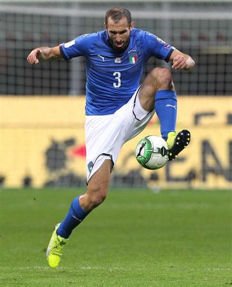 The quote is a must: Giorgio Chiellini Photos Photos: Italy v Sweden - FIFA ...