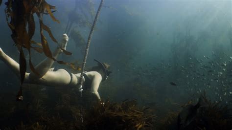  ehrlich also shot underwater footage. FLY ON THE WALL - Meet Pippa Ehrlich. We followed Pippa ...