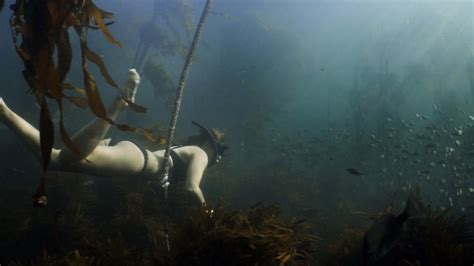 Learn about her connection the kelp forest, how she started working with craig foster. FLY ON THE WALL - Meet Pippa Ehrlich. We followed Pippa ...