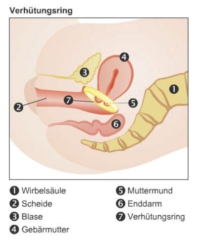 Die pille ist nach wie vor in deutschland eines der beliebtesten verhütungsmittel. 29 Top Images Ab Wann Schützt Die Pille - Wann Wirkt Die ...