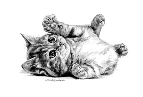 Easy drawing ideas for cool things to draw when you are bored. Kitten by Den Korolenko | Kitten drawing, Cat art, Simple ...