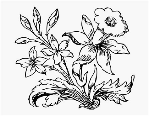 Gambar sketsa bunga mawar termasuk mudah untuk digambar, gambar sketsa ini dapat kamu buat dengan cara melihat langsung bentuk bunga mawar koleksi gambar sketsa bunga sakura indah asal jepang. 49+ Gambar Sketsa Bunga (MATAHARI, MAWAR, TULIP, SEDERHANA)