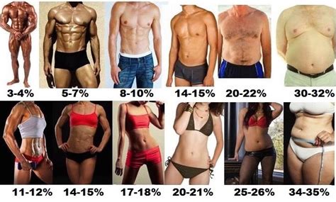 Find out about calculating your body fat. Body Fat Calculator for Bodybuilding