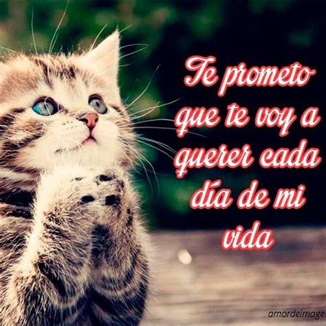 Galería de fotos lindas para compartir con frases. Imágenes Chidas con Frases » Imágenes para Facebook y Whatsapp