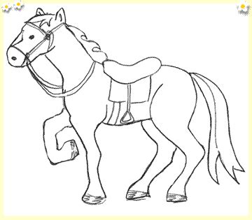 How to draw a wild. How To Draw A Cartoon Horse Head Step By Step