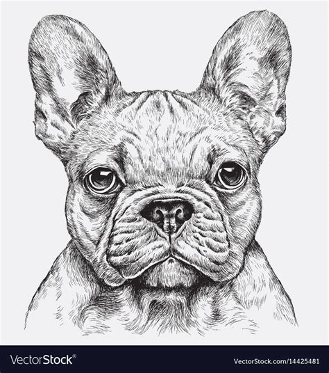 1,208 french bulldog pictures products are offered for sale by suppliers on alibaba.com, of which other home decor accounts for 2%, artificial crafts accounts for 1%. Highly detailed hand drawn french bulldog i Vector Image