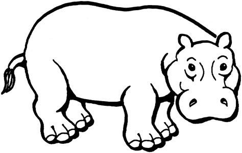 Baby hippopotamus hippo coloring book page. Free Hippo Coloring Pages